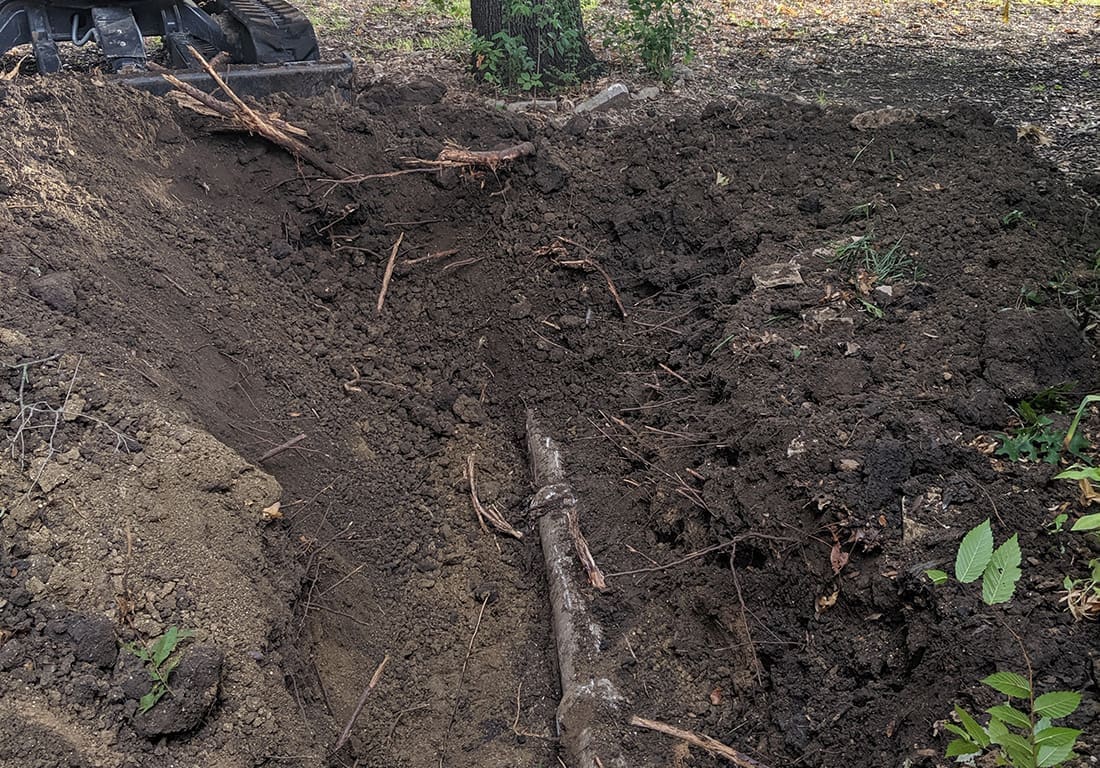 Tree Roots in Your Sewer Line XPipe